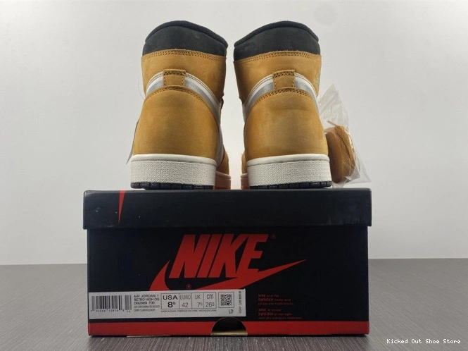 Kick Theory 1 Gore-Tex High Light DB2889-700 Curry Jordan Element 0809